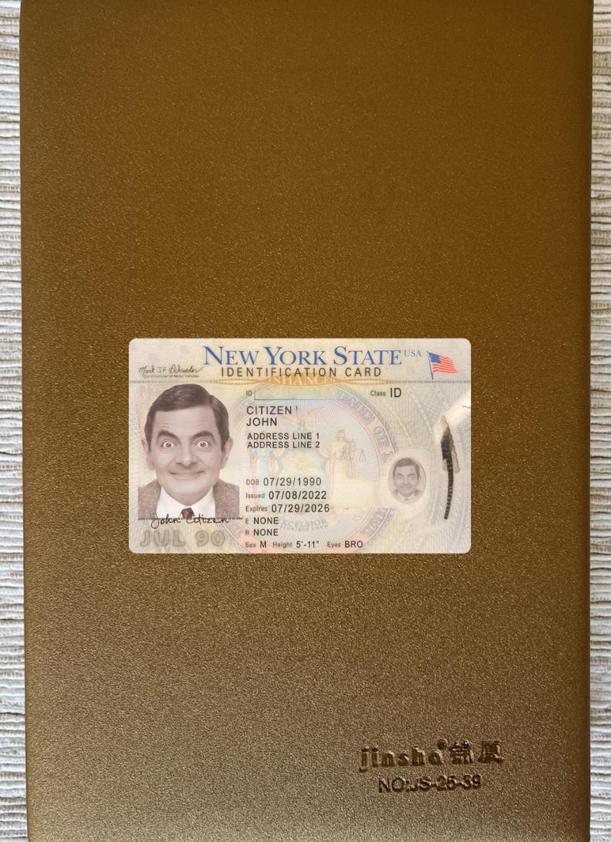 Printable USA New York ID card 2022 present photolook real example